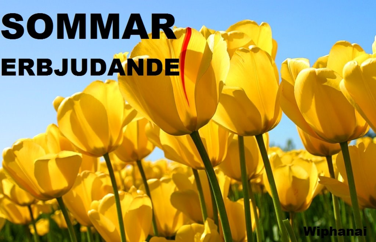 Nya sommarerbjudanden från Wiphanai!